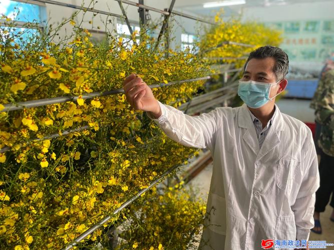 海口海关热带植物隔离检疫中心 科技推广让农户赚了口袋富了脑袋